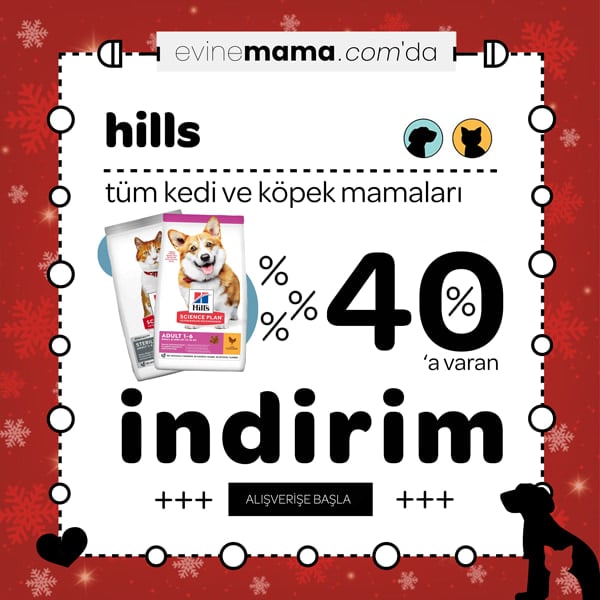 evinemama.com
