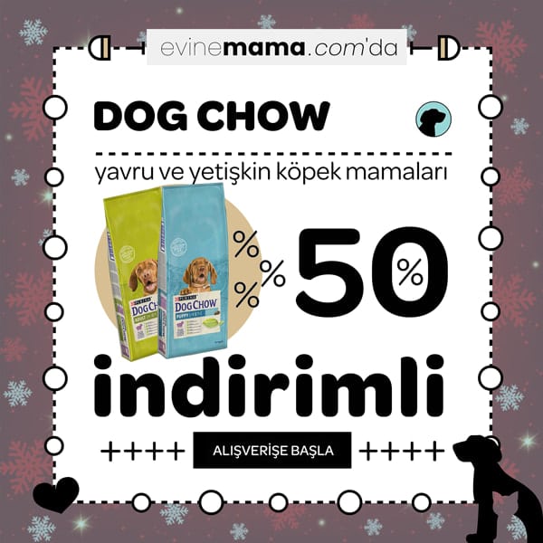 evinemama.com